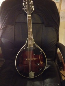 tony shepherds mandolin